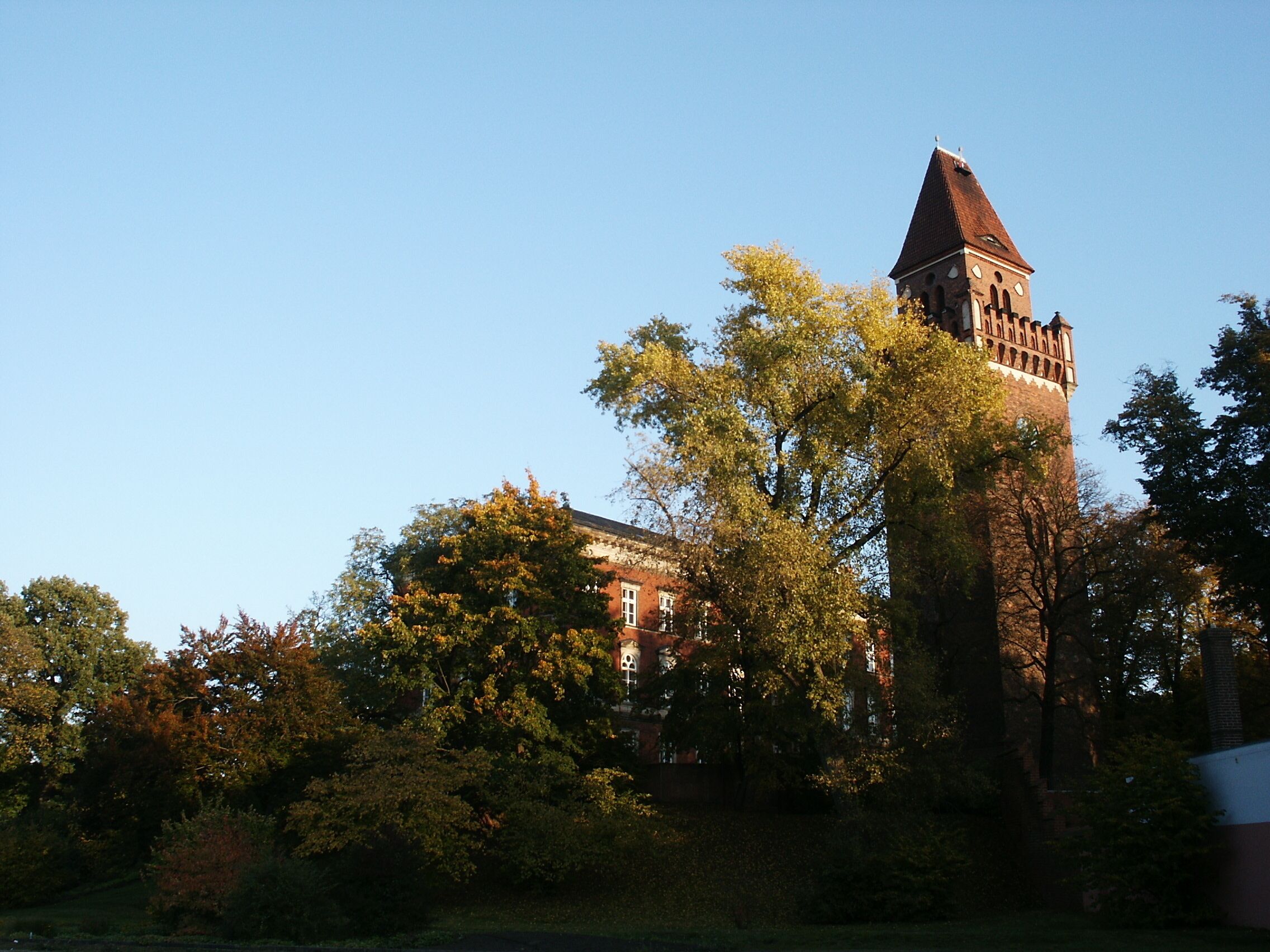 A historic building with a prominent tower, surrounded by lush trees and a clear blue sky.
