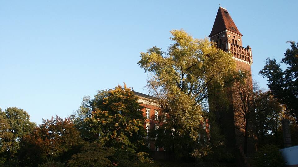 A historic building with a prominent tower, surrounded by lush trees and a clear blue sky.