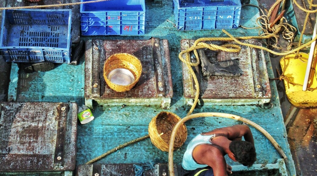 Once you learn the art of observation, every frame looks like a storyteller.