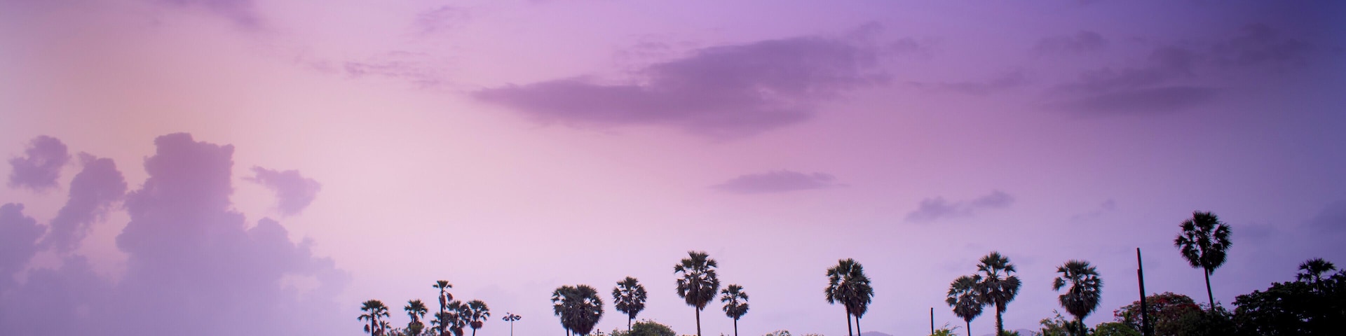 Powai Lake is an artificial lake, situated in Mumbai, in the Powai valley, where a Powai village with a cluster of huts existed.