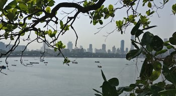 View from the lesser known Mahajani Dargah on the other side of Haji Ali dargah. A calmer place with very little crowd.