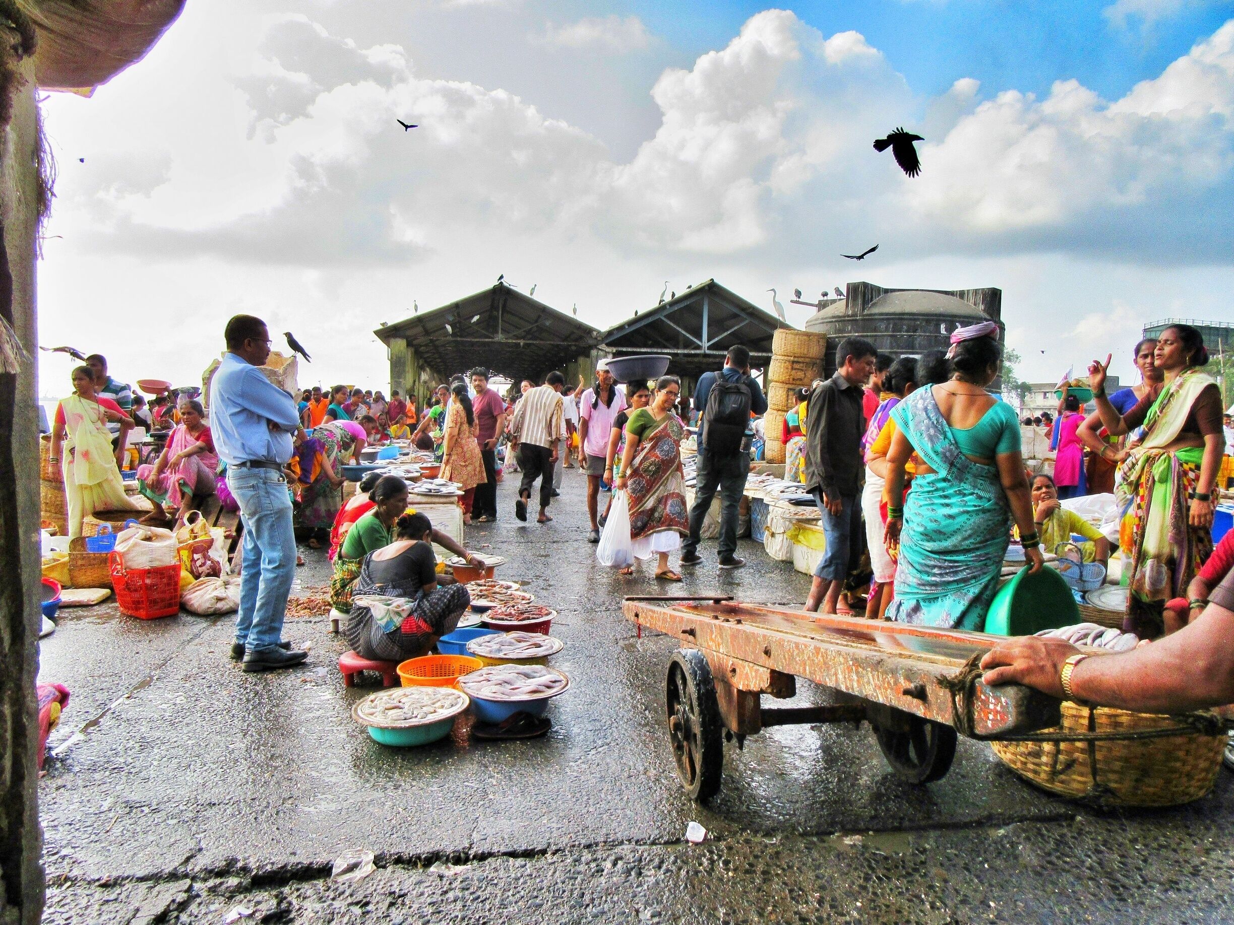 A regular morning at the docks. More chaos equals to more money.