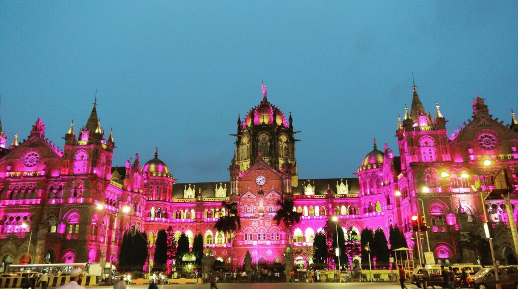 A sight that could make you fall in love with darkness.