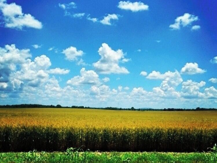 #HomeSweetHomeAlabama 
#OnTheRoad