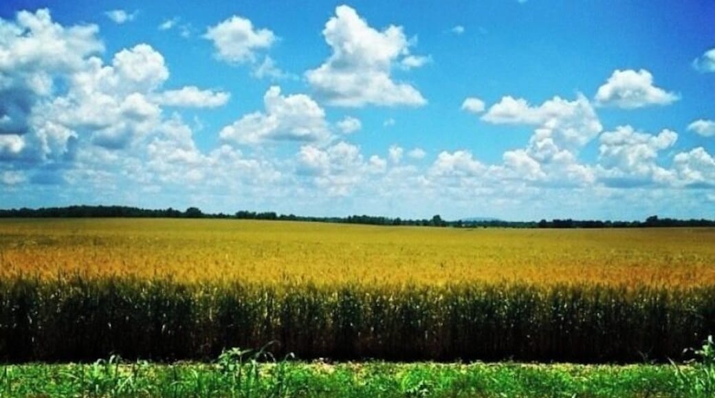 #HomeSweetHomeAlabama
#OnTheRoad