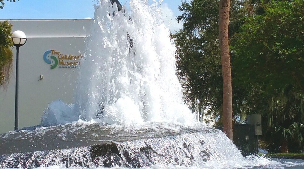 Great place to take your children. It's also a popular field trip destination for local schools on the treasure coast.