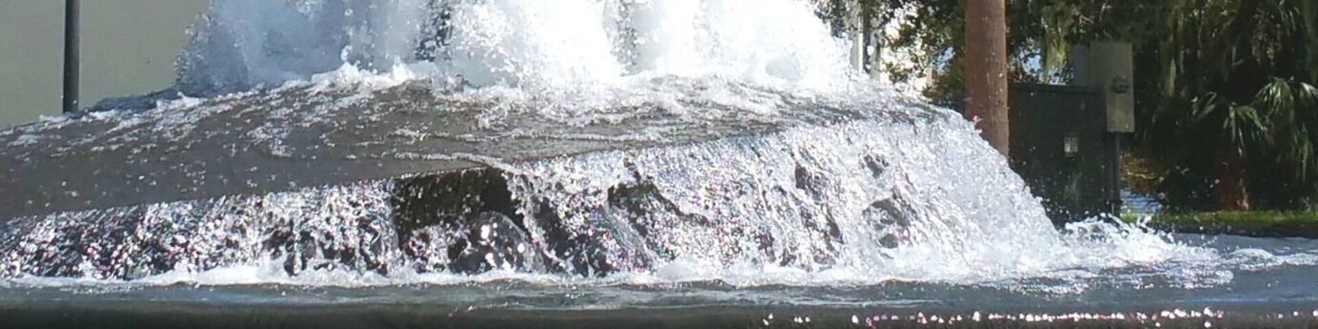 Great place to take your children. It's also a popular field trip destination for local schools on the treasure coast.