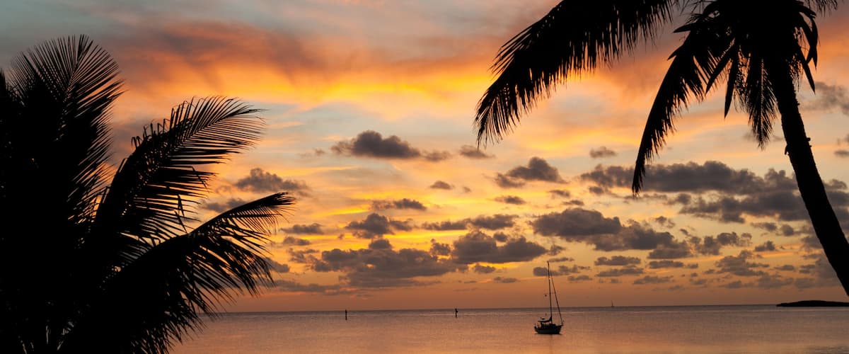 A sunset over a calm sea with palm trees silhouetted against the sky.