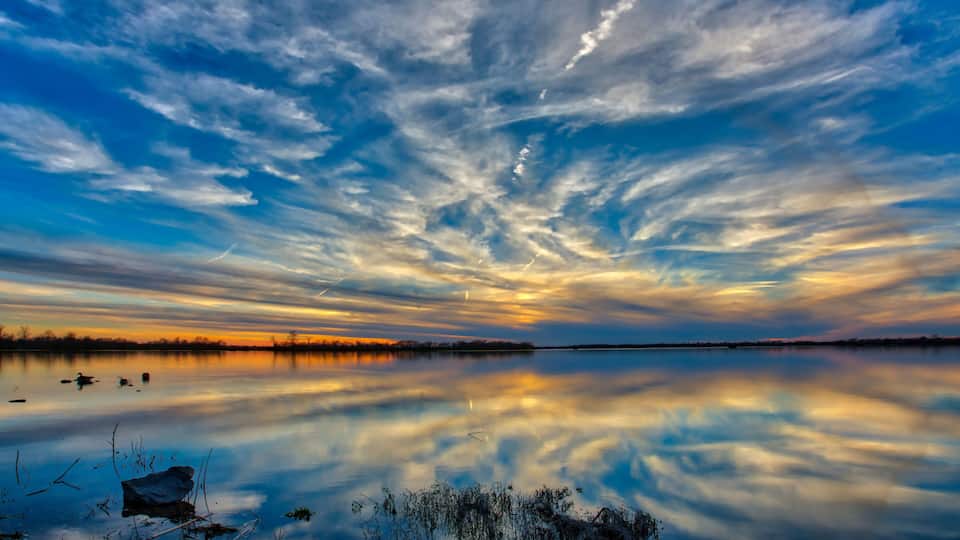 A calm lake with a reflection of the sky, surrounded by trees and a clear horizon.