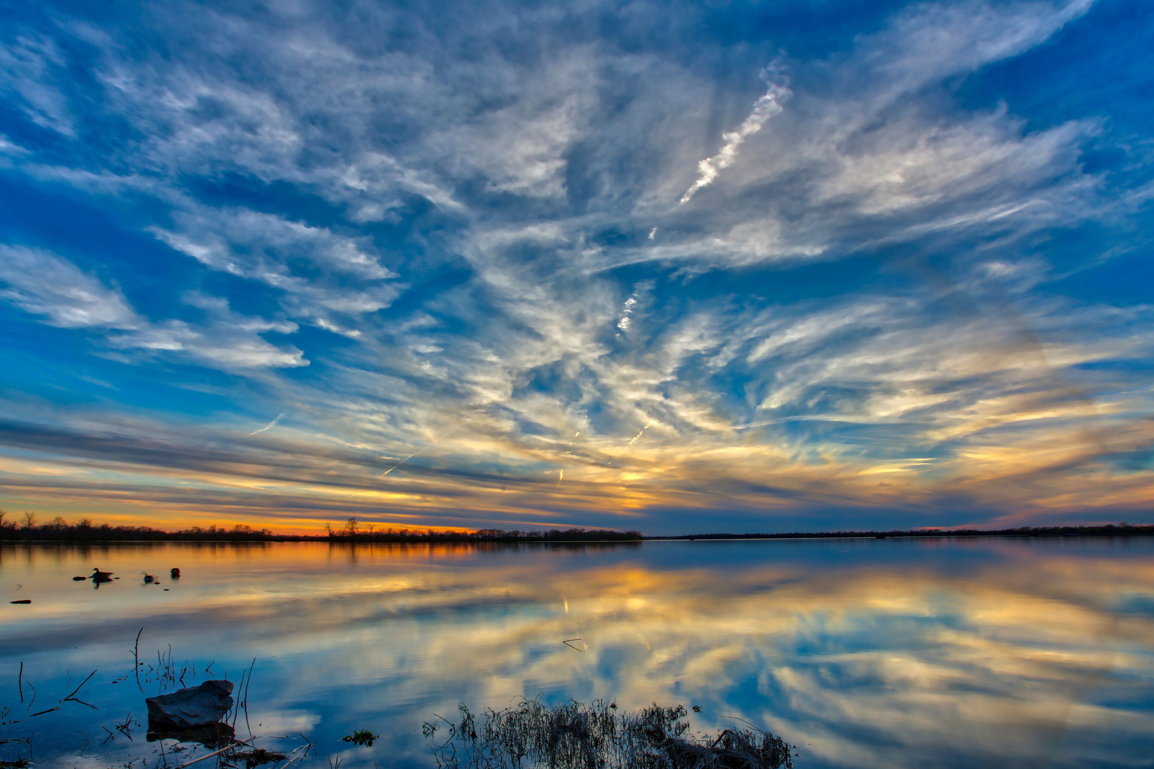 A calm lake with a reflection of the sky, surrounded by trees and a clear horizon.