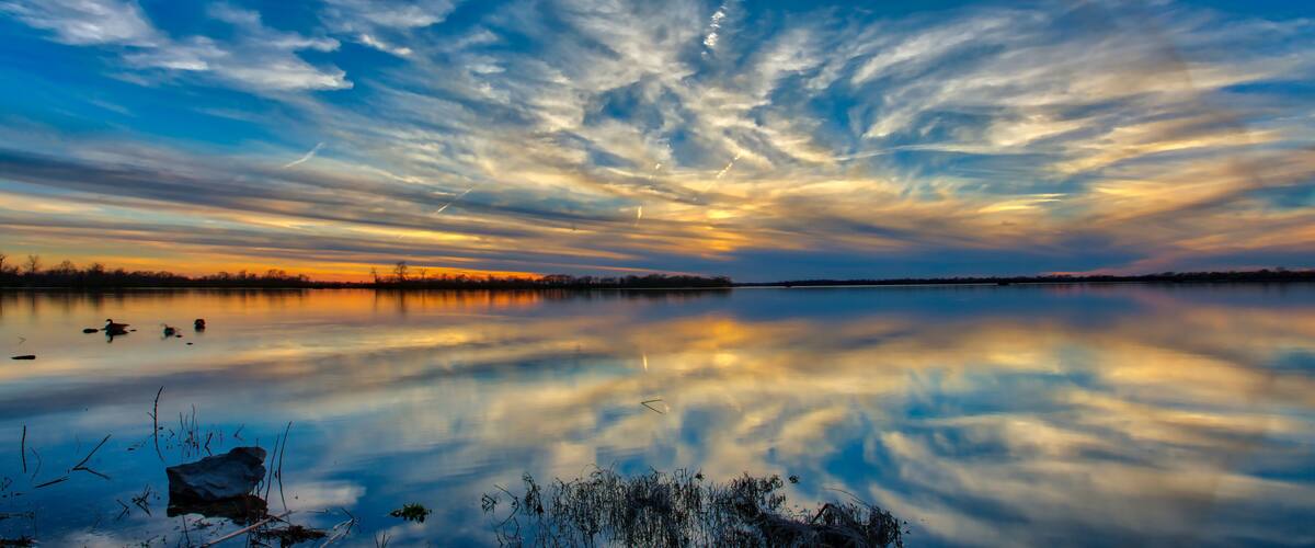 A calm lake with a reflection of the sky, surrounded by trees and a clear horizon.