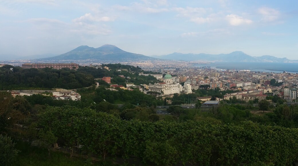 Napoli dai Colli Aminei