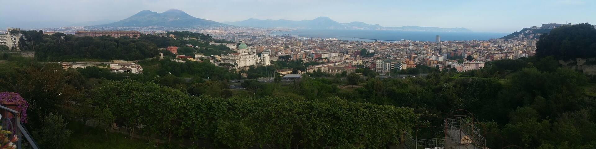 A cityscape with a prominent mountain in the background, dense urban buildings, and lush greenery in the foreground.