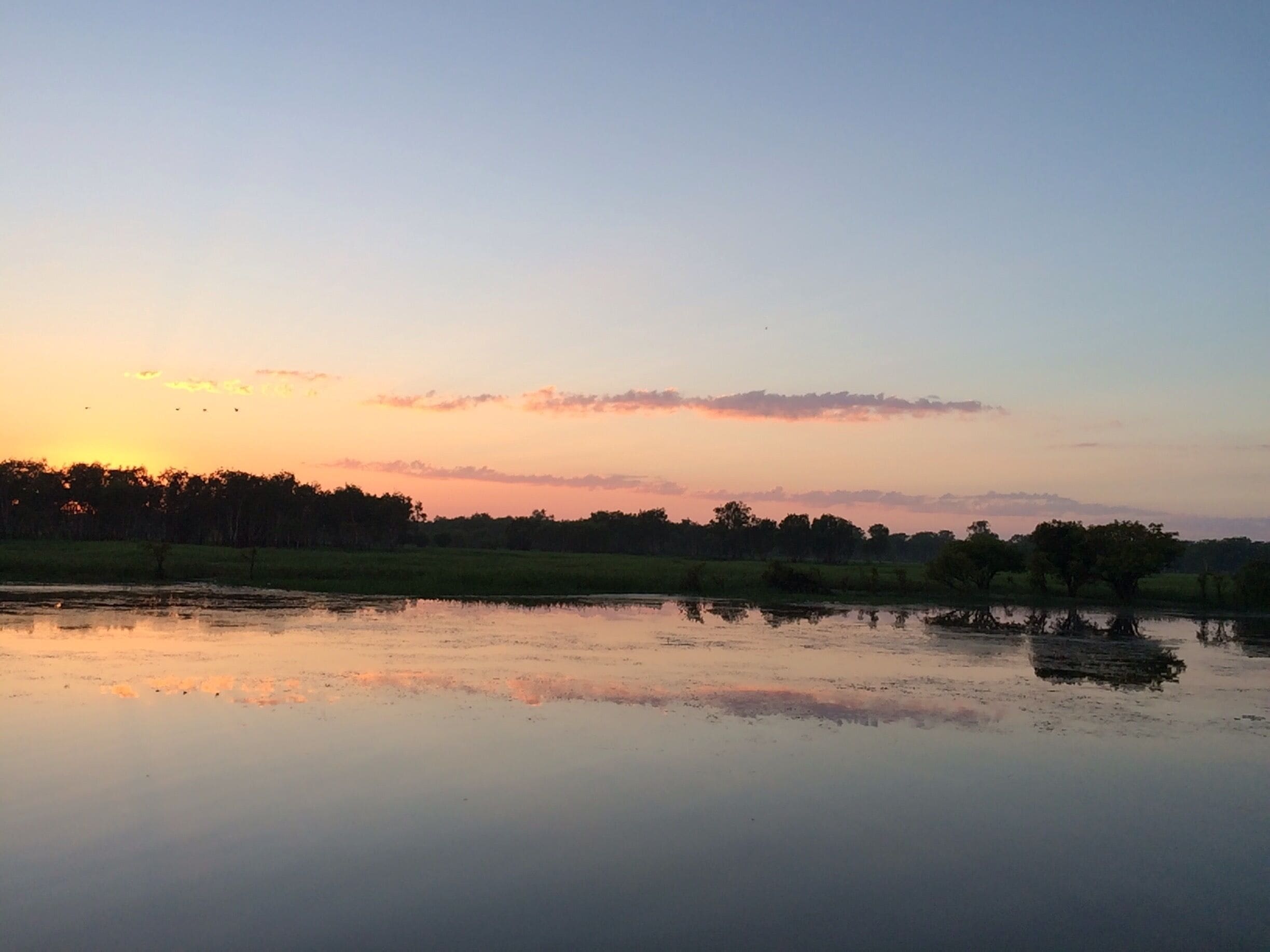 Kakadu calling!  
Yellow Water Billabong is located at the end of Jim Jim Creek, a tributary of the South Alligator River. 
Sunrise #GoldenHour bliss!  
#UnescoWorldHeritageSite.
#iPhoneonly
Kakadu #NationalPark
And #waterlust!