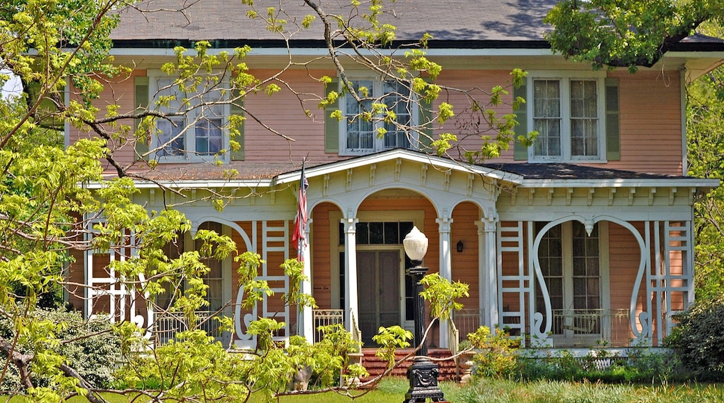 Camden which includes heritage architecture and a house