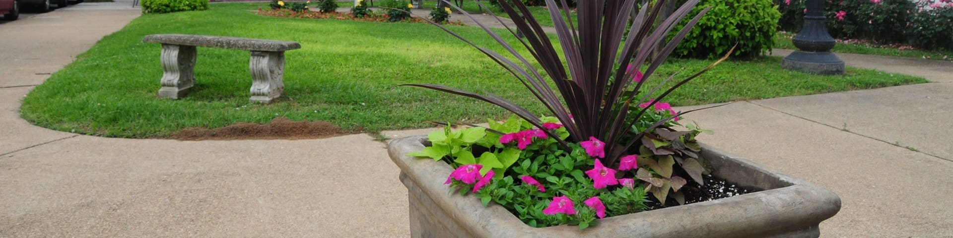 Camden mettant en vedette art en plein air et parc