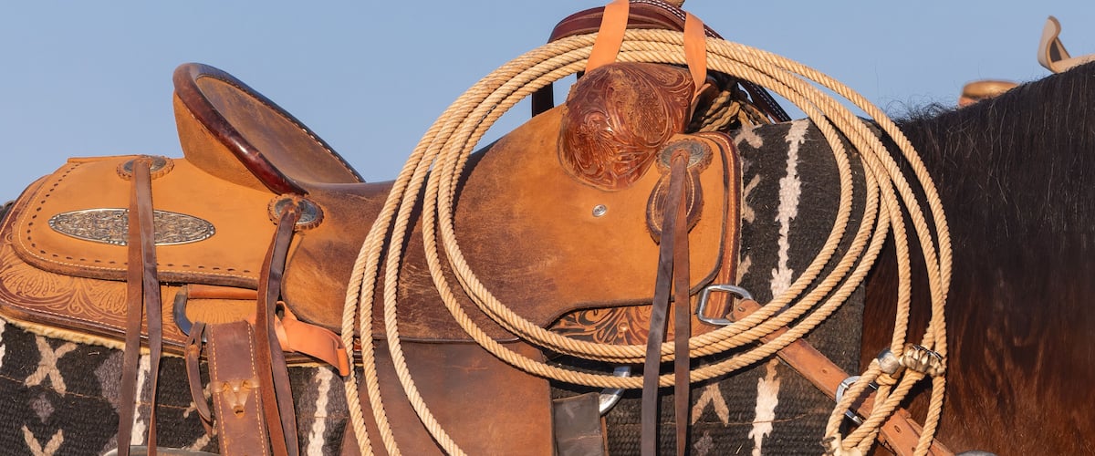Coiled lasso on a horse's saddle.