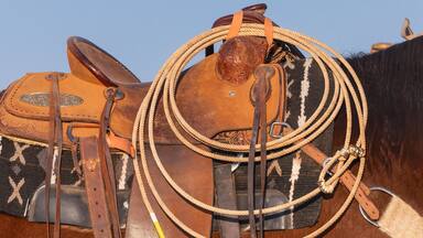 Coiled lasso on a horse's saddle.