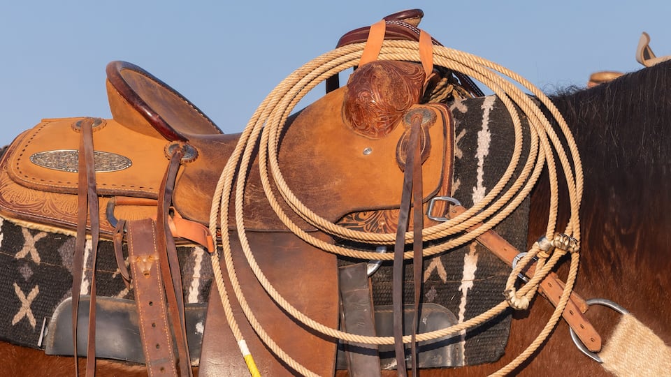 A close-up of a horse's saddle and reins.