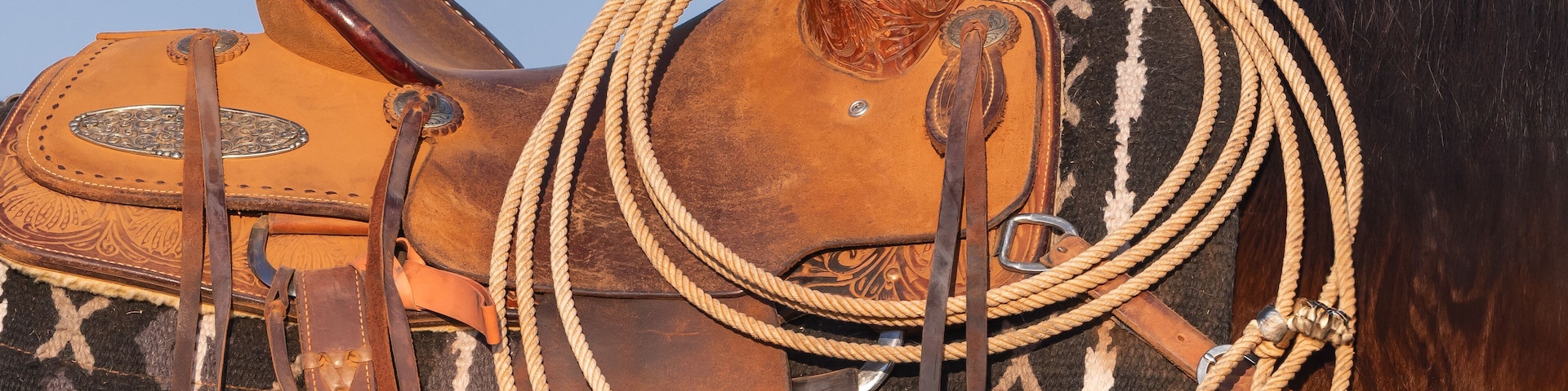 Coiled lasso on a horse's saddle.