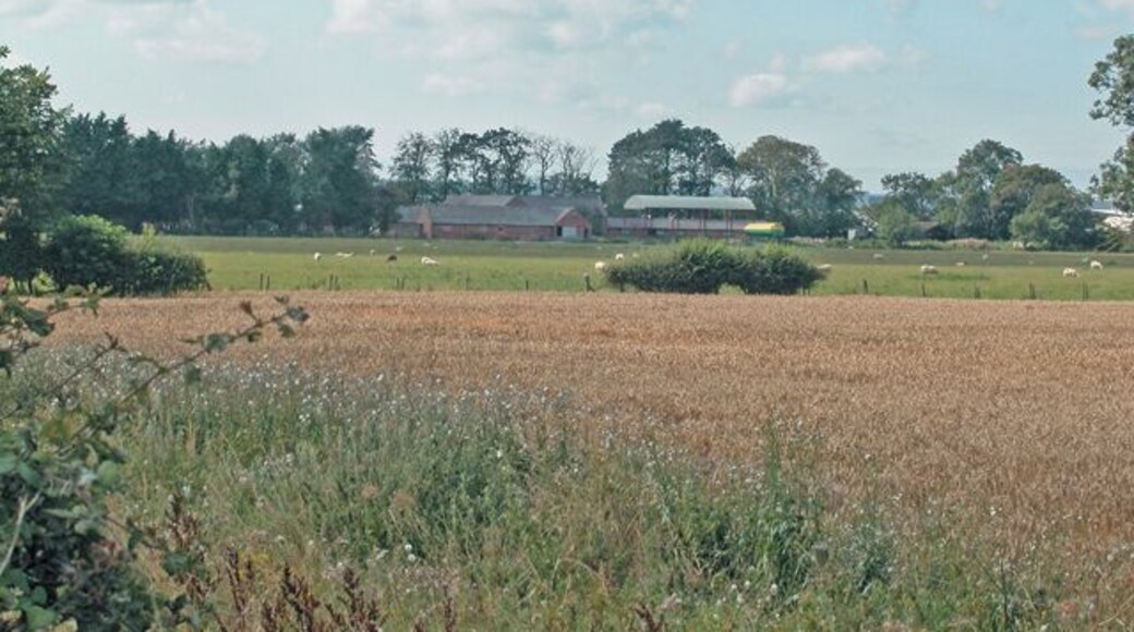 Awaiting harvest Well House farm in the distance