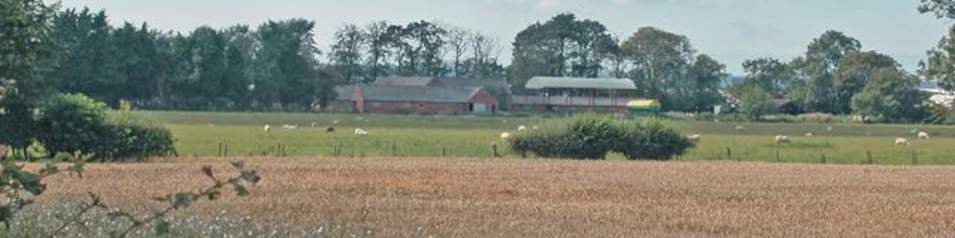 Awaiting harvest Well House farm in the distance