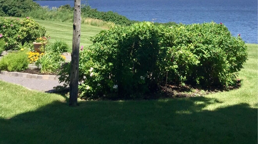 All is calm and serene now at this site of a monumental battle between US and British troops in 1813. Located on the shores of Lake Ontario the area is now preserved as a State Park.