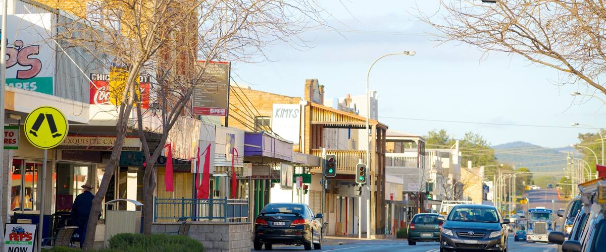 A street lined with shops, a pedestrian crossing sign, and a traffic light.