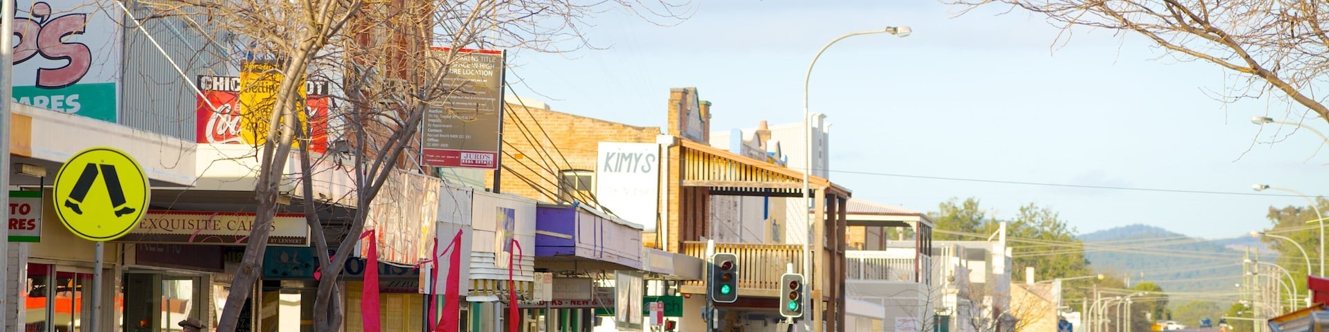 A street lined with shops, a pedestrian crossing sign, and a traffic light.