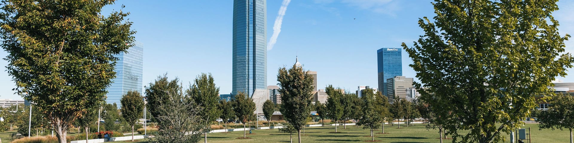 Un parque con árboles y un rascacielos alto al fondo.