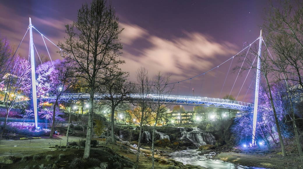 Liberty Bridge at night in Falls Park - from behind