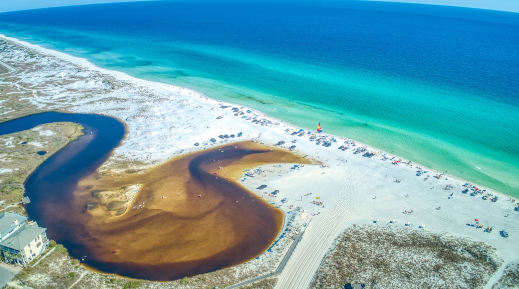 An aerial view of a beach with clear turquoise waters, a sandy shore, and a large brown water body.