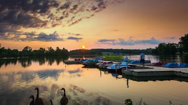 Panorama of Jacobson Park lake in Lexington, Kentucky during early morning sunrise. Marina with paddle boats and kayaks in the right side of the image, reflections of the trees and clouds on the left