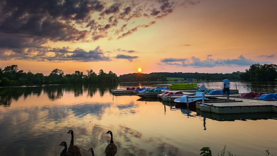 A sunset over a calm lake with boats docked at the pier and geese in the foreground.
