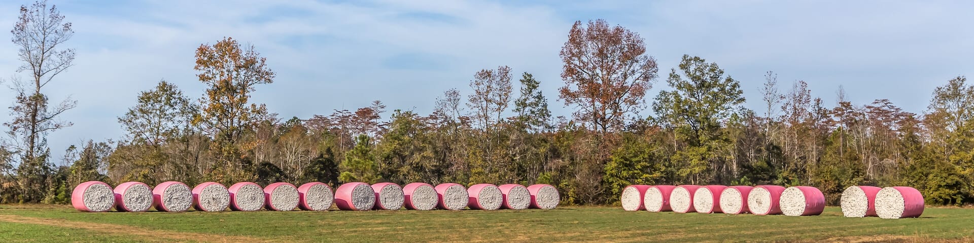 Panoramic view of a row of cotton bails along the road in Flomaton, Alabama.