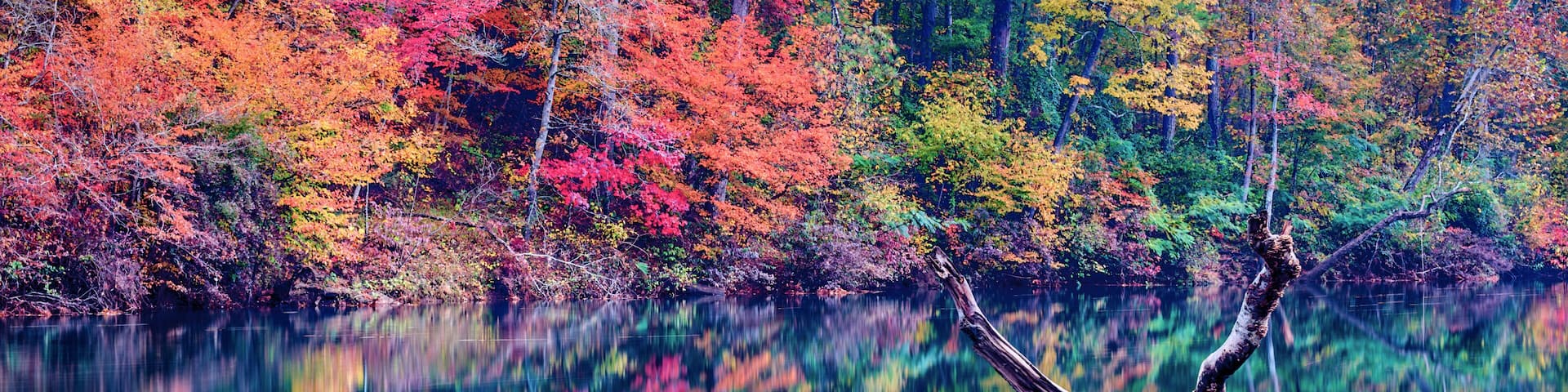The Colors of Fall