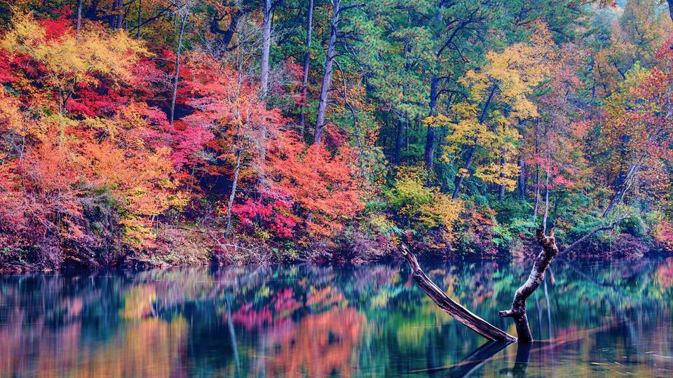 A serene lake with vibrant autumn foliage reflecting in the water, surrounded by tall trees.