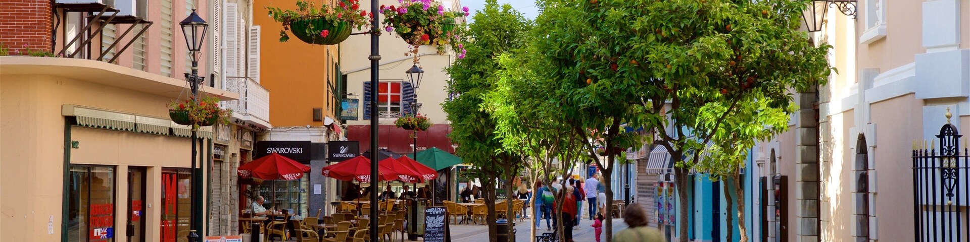 Calle peatonal bordeada de cafés, terrazas y macetas colgantes de flores.