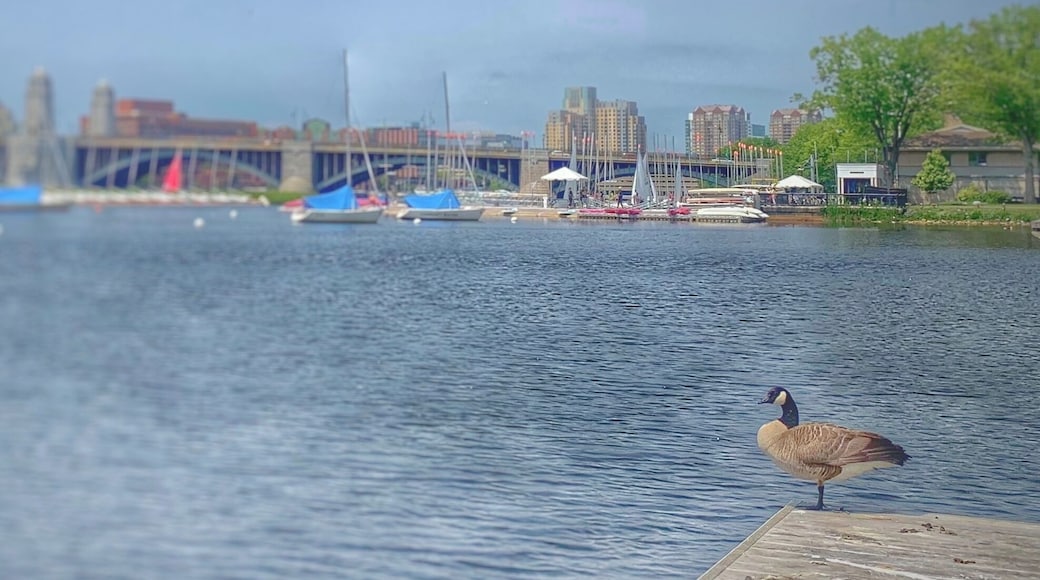 A nice and comfortable walk