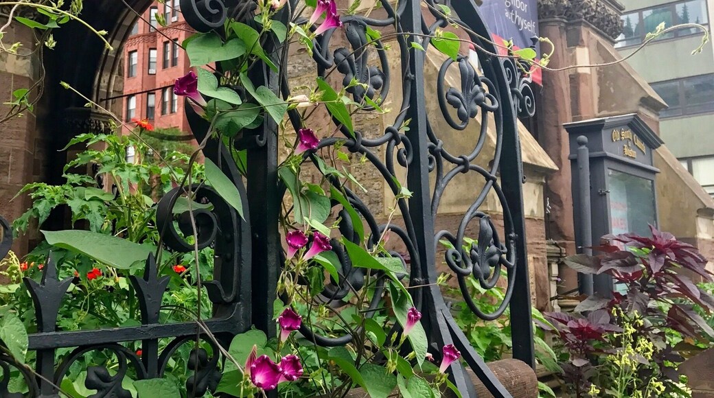 Impressive church inside and out. Many photo opportunities. Located across from the Boston Library. Definitely worth a peek inside.