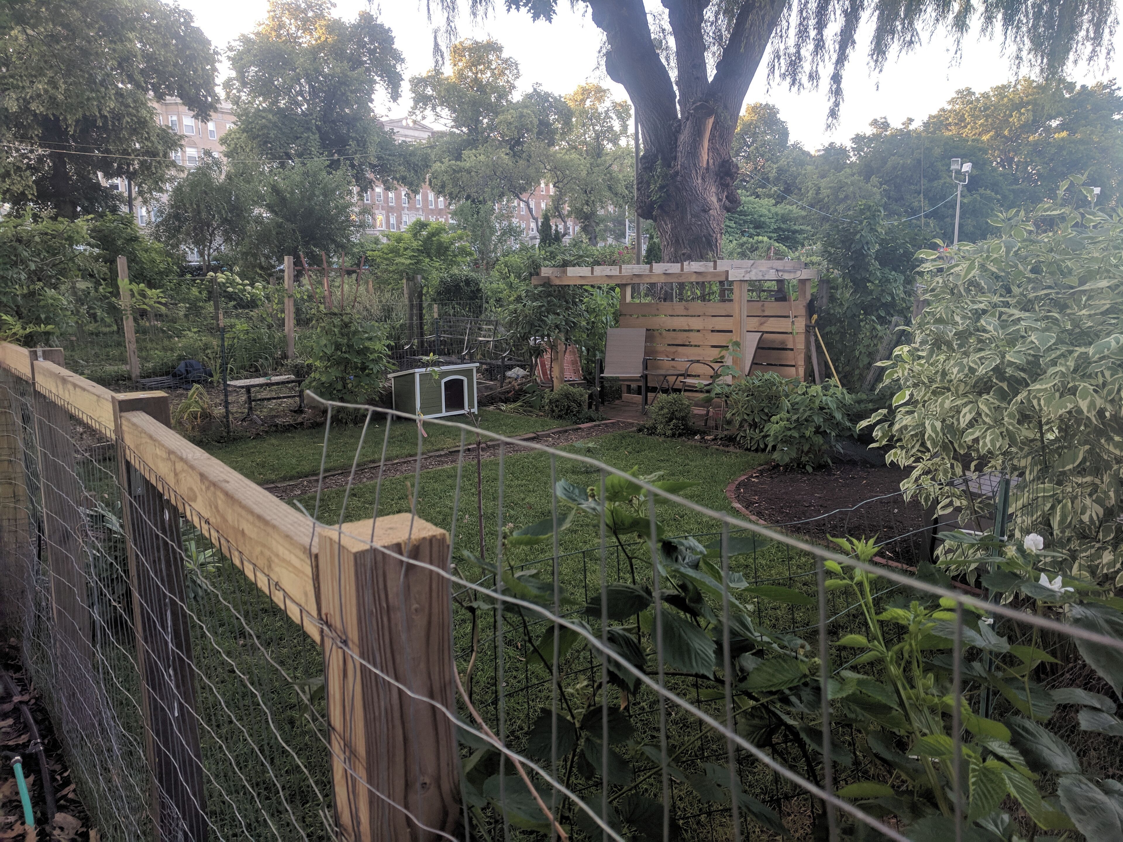 I love this garden! Not because of what is growing there but because of how some people are using the space. There aren't any yards around here so some people carve on out in the garden instead of planting veggies. Brilliant :)