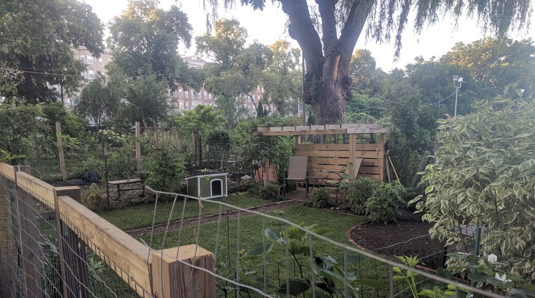 I love this garden! Not because of what is growing there but because of how some people are using the space. There aren't any yards around here so some people carve on out in the garden instead of planting veggies. Brilliant :)