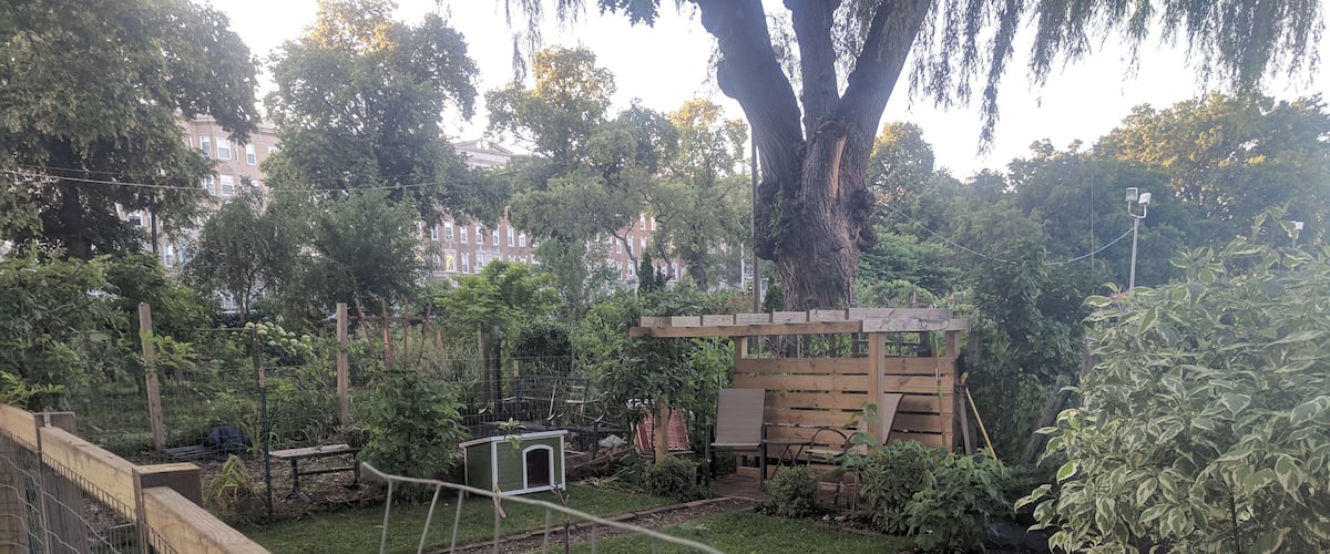 I love this garden! Not because of what is growing there but because of how some people are using the space. There aren't any yards around here so some people carve on out in the garden instead of planting veggies. Brilliant :)