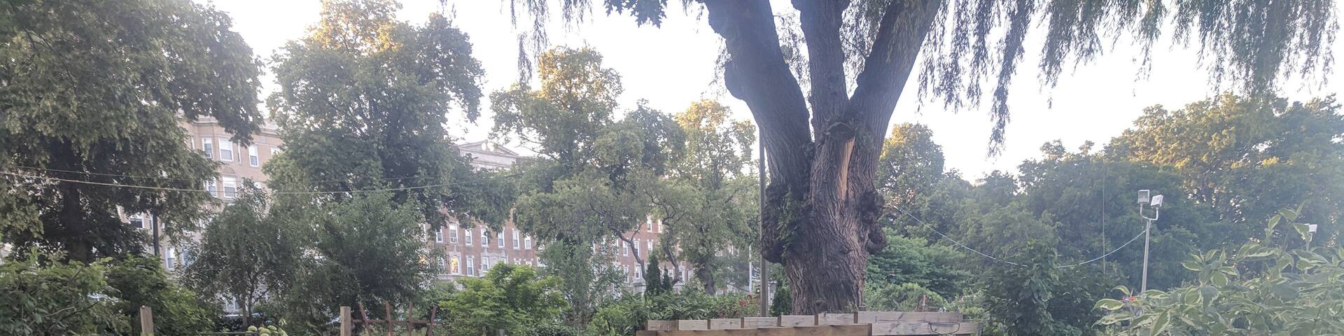 I love this garden! Not because of what is growing there but because of how some people are using the space. There aren't any yards around here so some people carve on out in the garden instead of planting veggies. Brilliant :)