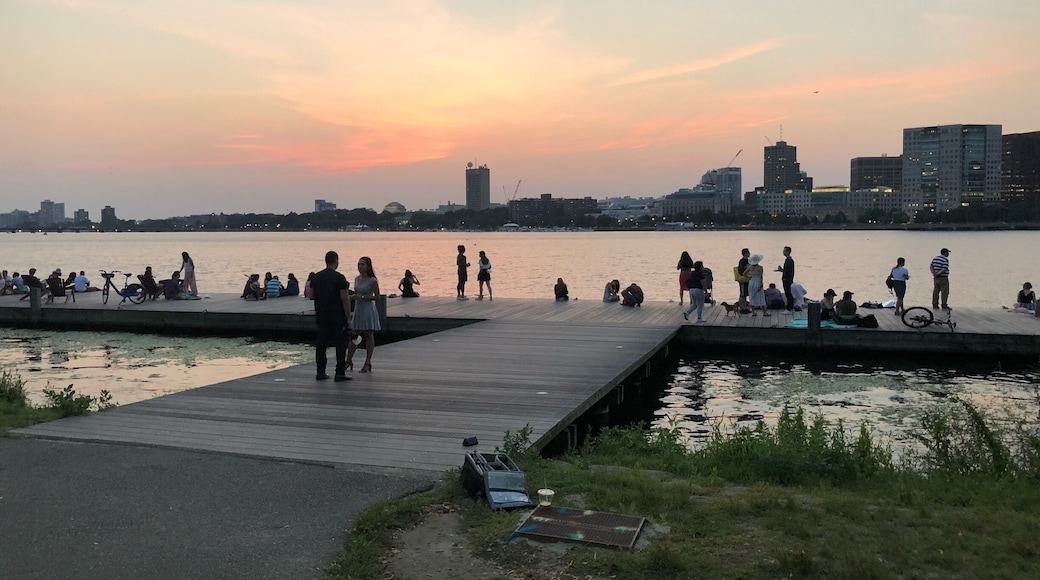 Let’s all be this alive. Salsa dancing and lovers kissing it was like being on a movie set