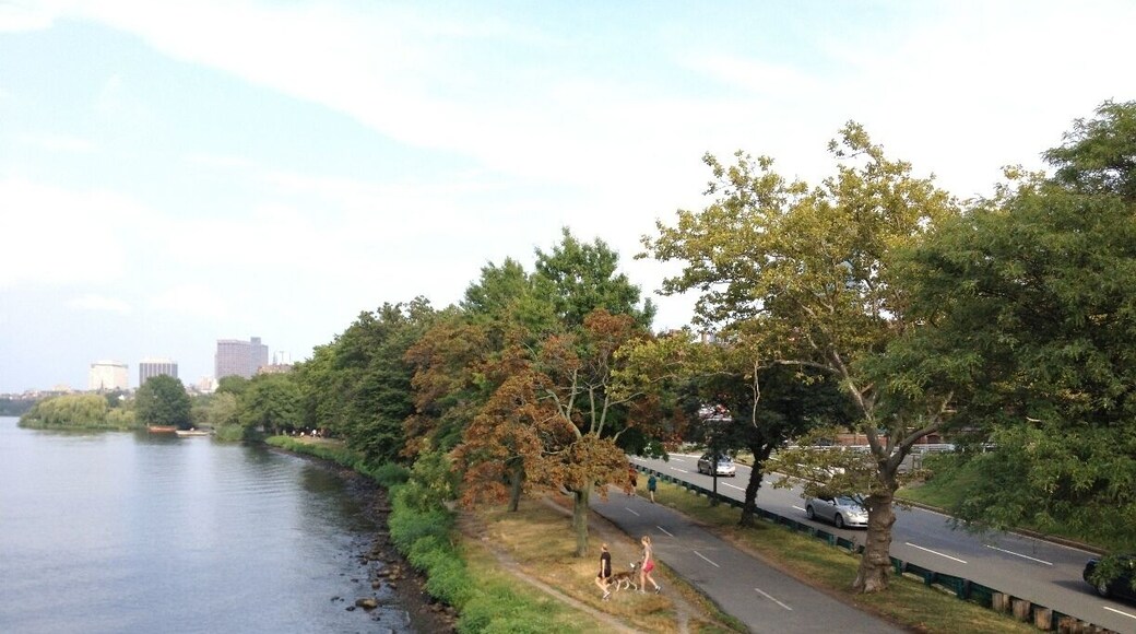 バック ベイ ウェスト