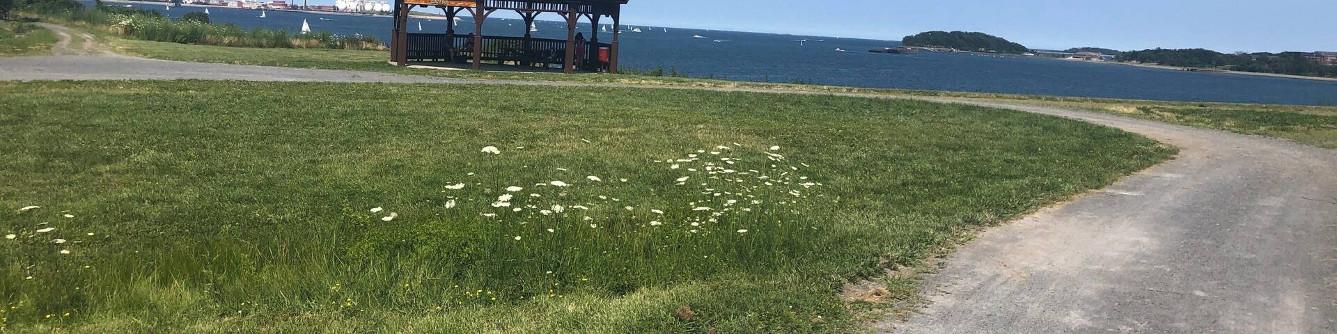 Views from the south drumlin trail on spectacle island