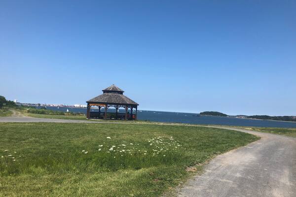 Views from the south drumlin trail on spectacle island