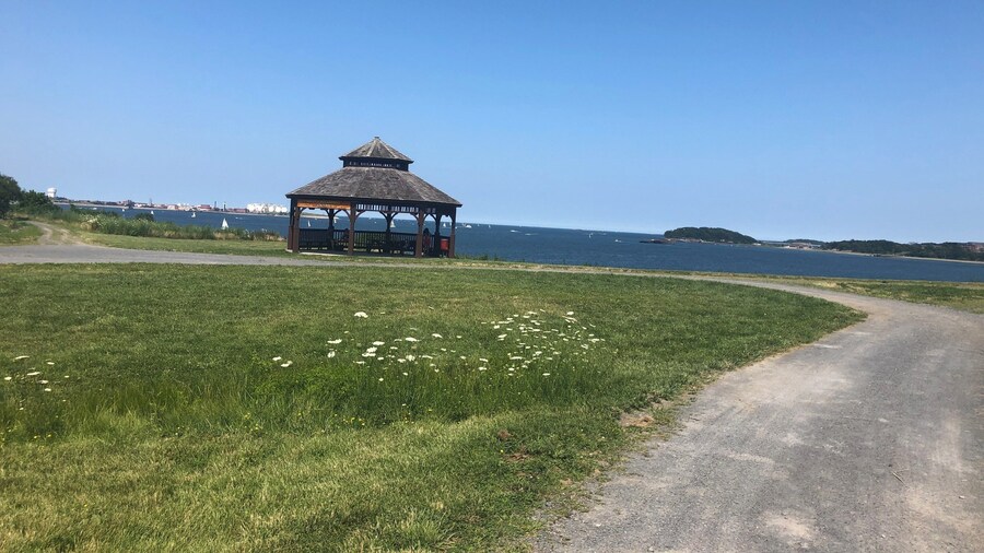 Views from the south drumlin trail on spectacle island