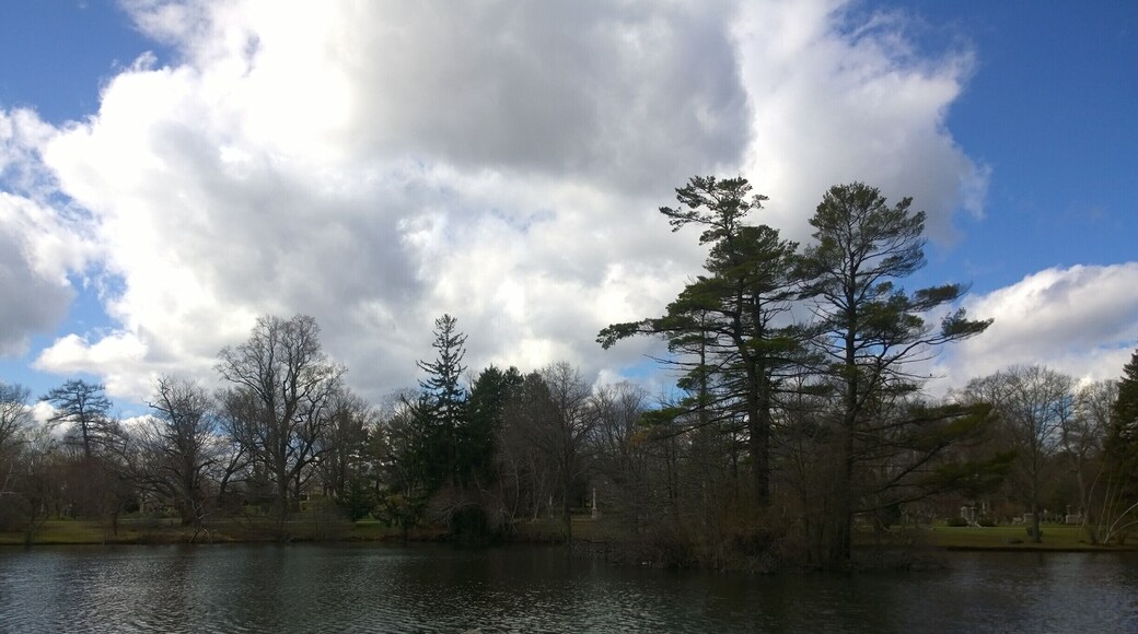 The lake in the center of Forest Hills Cemetery.
Built in 1848, Forest Hills Cemetery is a historic 275-acre cemetery, greenspace, arboretum and sculpture garden located in the Jamaica Plain neighborhood of Boston.